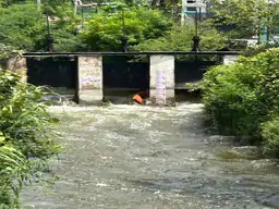 उदयपुर हैडलाइंस :  कुराबड़ में भाई-बहन समेत 4 लोग डूबे, मौत, लिंक नहर के गेट खोले