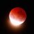 Lunar Eclipse Today; Temples Across India Closed: To Reopen After 7 PM; Holi Celebrated During Bhasma Aarti at Mahakaleshwar Temple in Ujjain