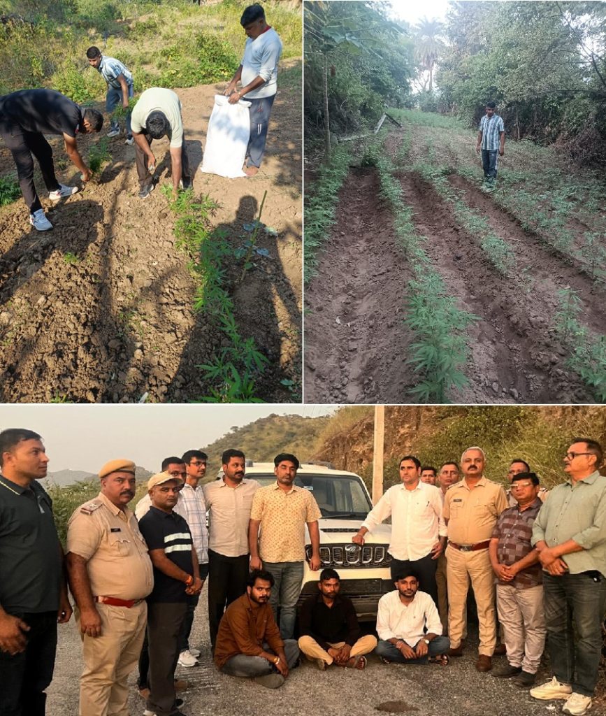 उदयपुर पुलिस का जागृति अभियान : नशे की हरियाली और हमारे दौर का ज़हर